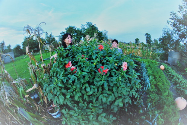 No ładne kwiatki :)