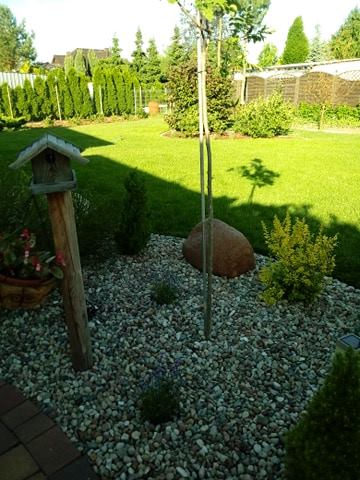 "Ogrodnik doskonały 2019"