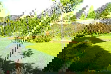 "Ogrodnik doskonały 2019"