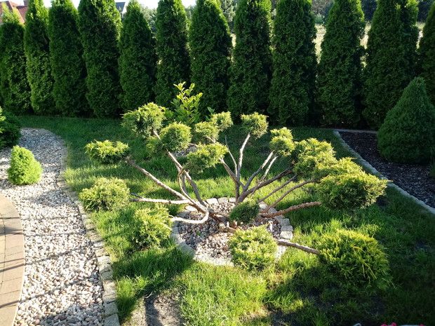 "Ogrodnik doskonały 2019"