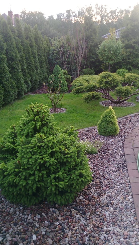 "Ogrodnik doskonały 2019"