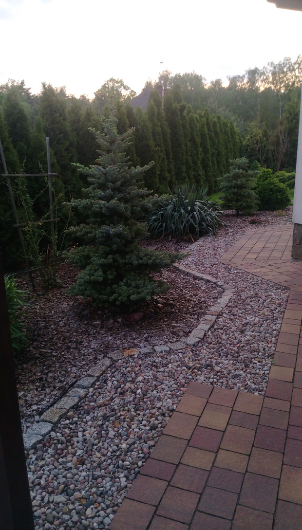 "Ogrodnik doskonały 2019"