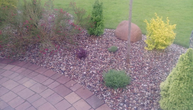 "Ogrodnik doskonały 2019"