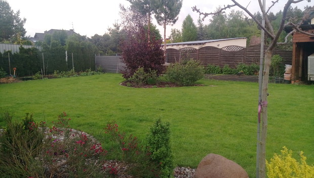 "Ogrodnik doskonały 2019"