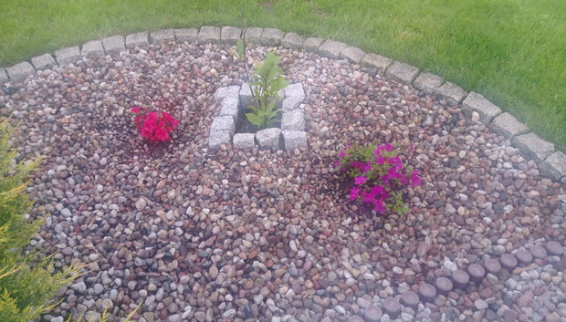 "Ogrodnik doskonały 2019"