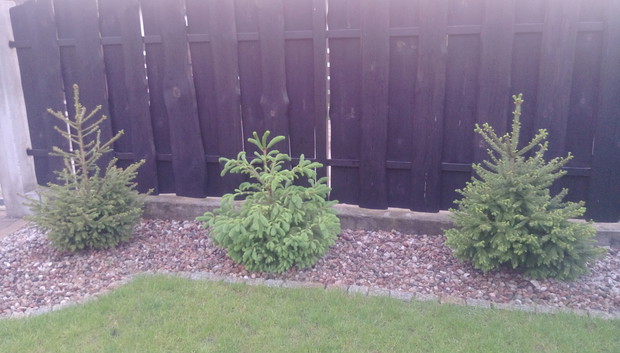 "Ogrodnik doskonały 2019"