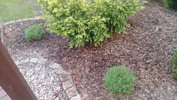 "Ogrodnik doskonały 2019"