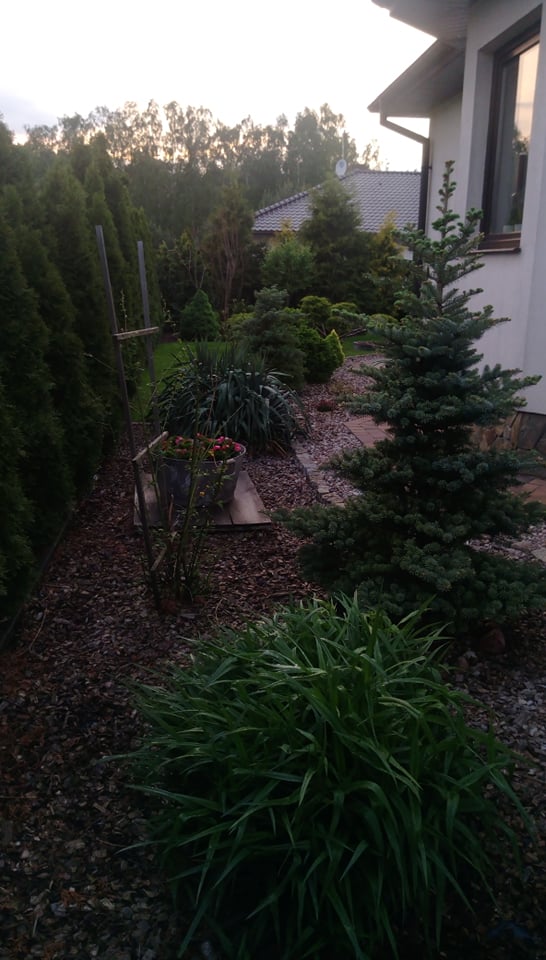 "Ogrodnik doskonały 2019"