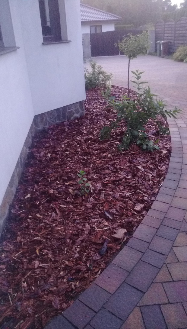 "Ogrodnik doskonały 2019"