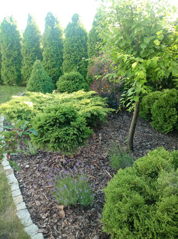 "Ogrodnik doskonały 2019"