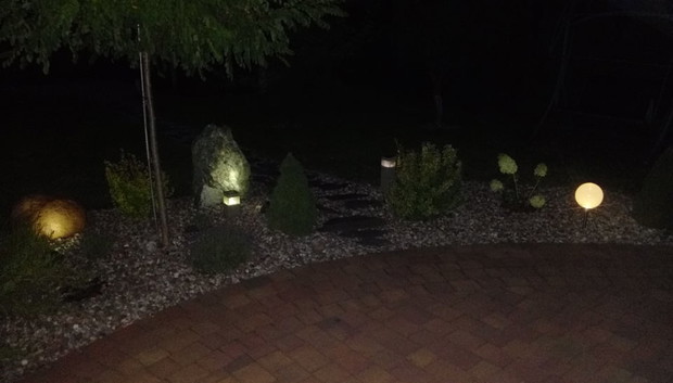 "Ogrodnik doskonały 2019"