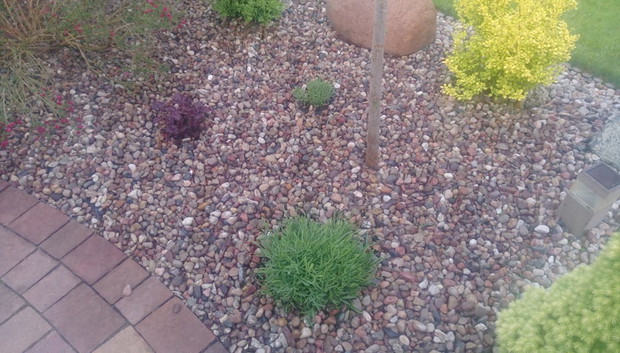 "Ogrodnik doskonały 2019"