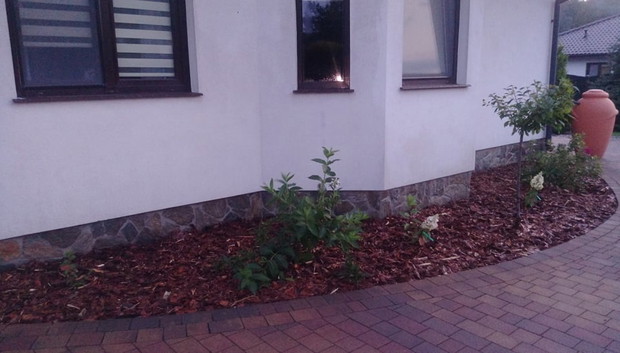 "Ogrodnik doskonały 2019"