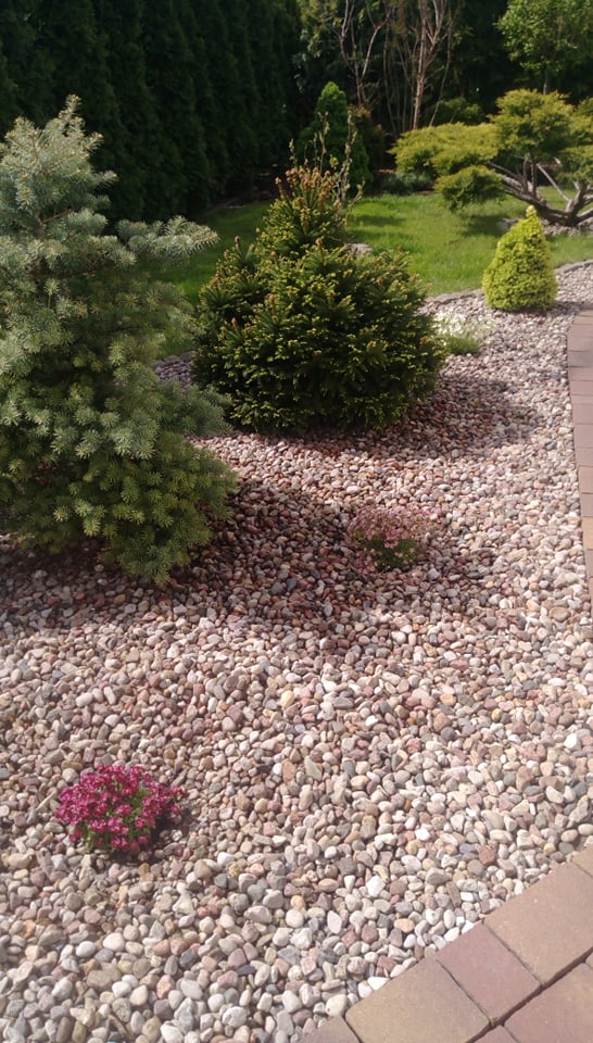 "Ogrodnik doskonały 2019"