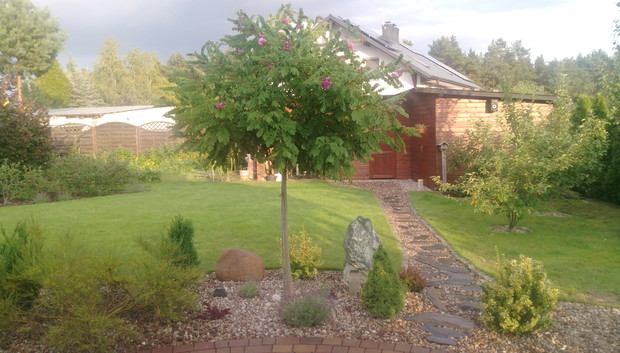 "Ogrodnik doskonały 2019"