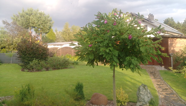 "Ogrodnik doskonały 2019"