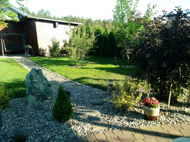 "Ogrodnik doskonały 2019"