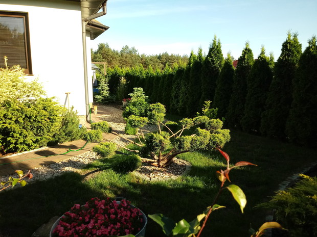 "Ogrodnik doskonały 2019"