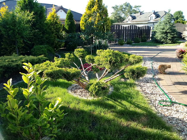 "Ogrodnik doskonały 2019"