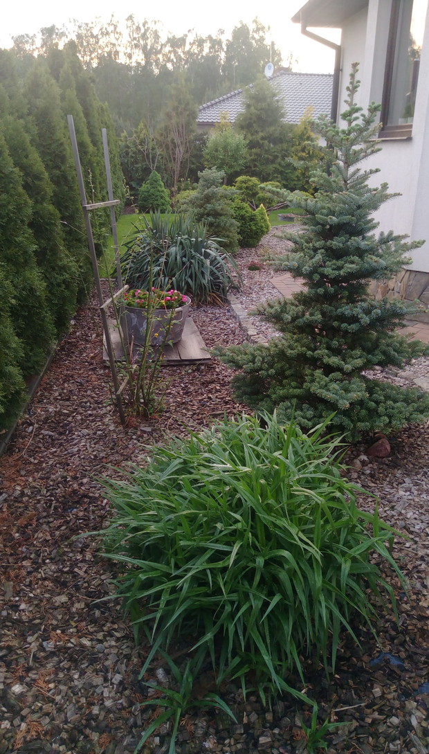 "Ogrodnik doskonały 2019"