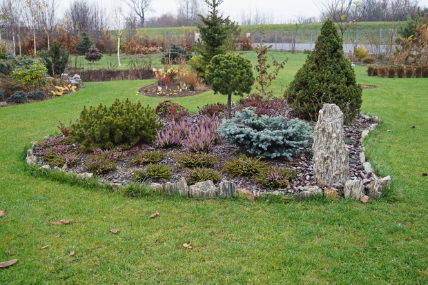 Podniesione wrzosowisko