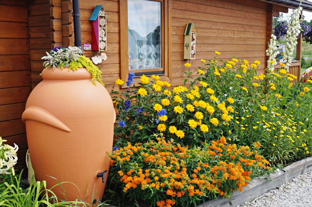 Południowa rabata przy domku