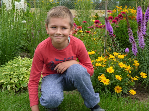 Przy lipcowej rabacie