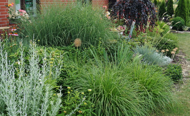 Rabata przy budynku latem