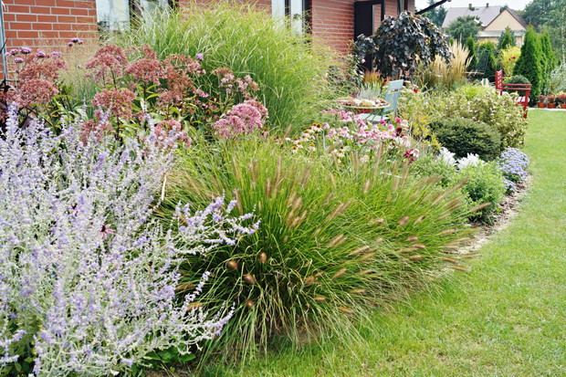 Rabata przy budynku z trawami i perowskią