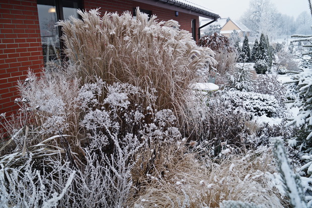 Rabata przy budynku zimą