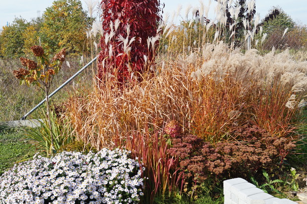 Rabata przy słupie jesienią