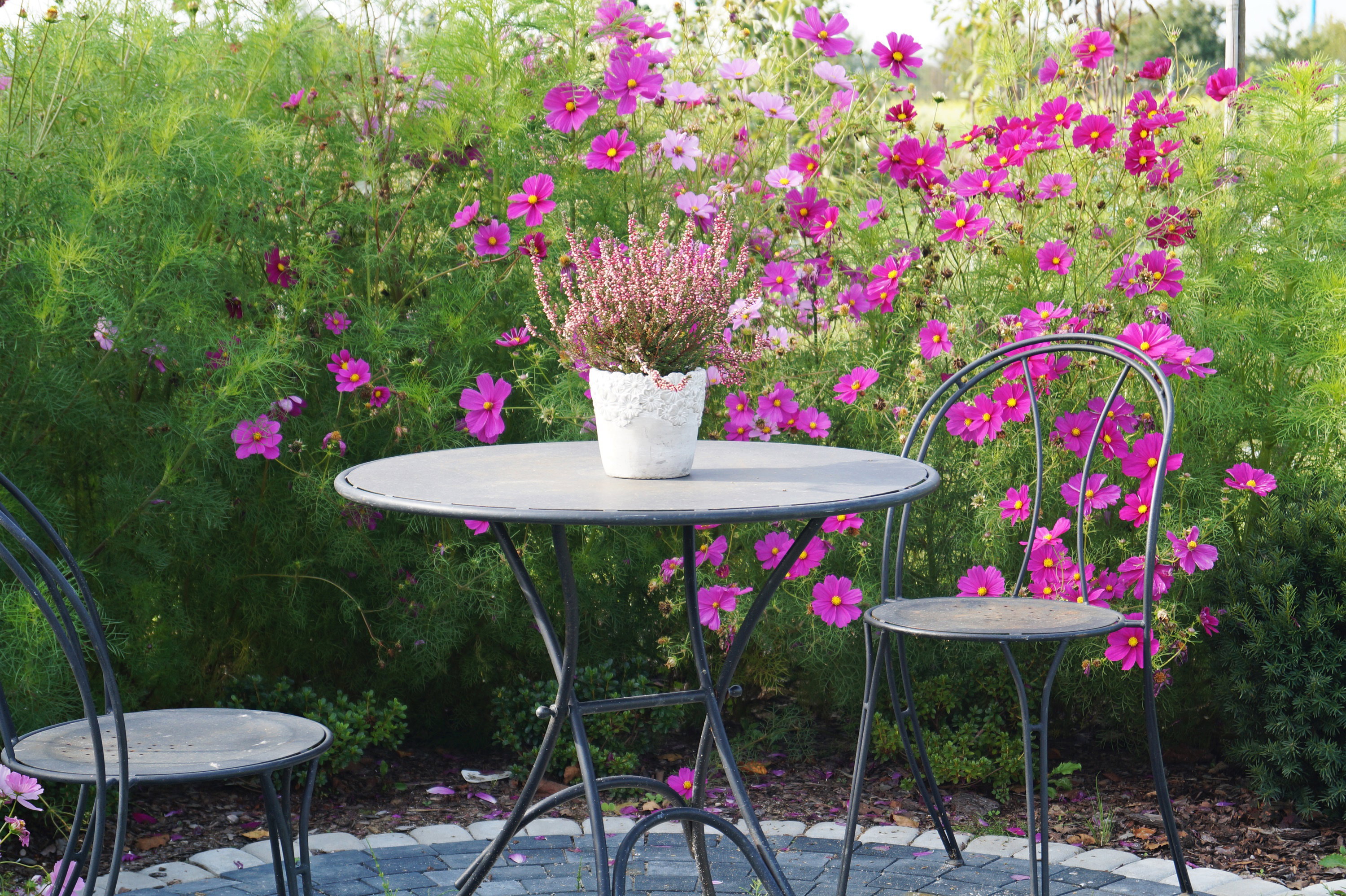 Stolik wśród kosmosów