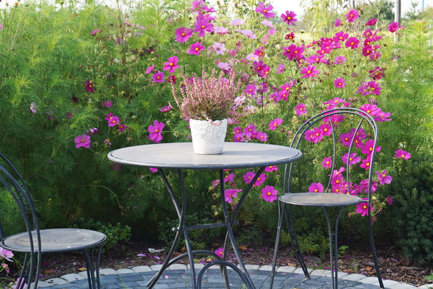 Stolik wśród kosmosów