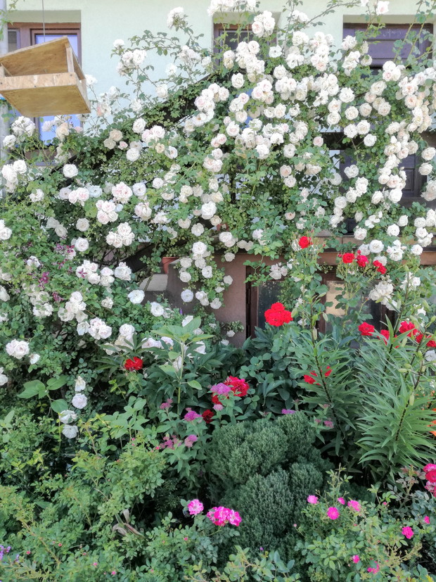 Suwalska kraina czarów