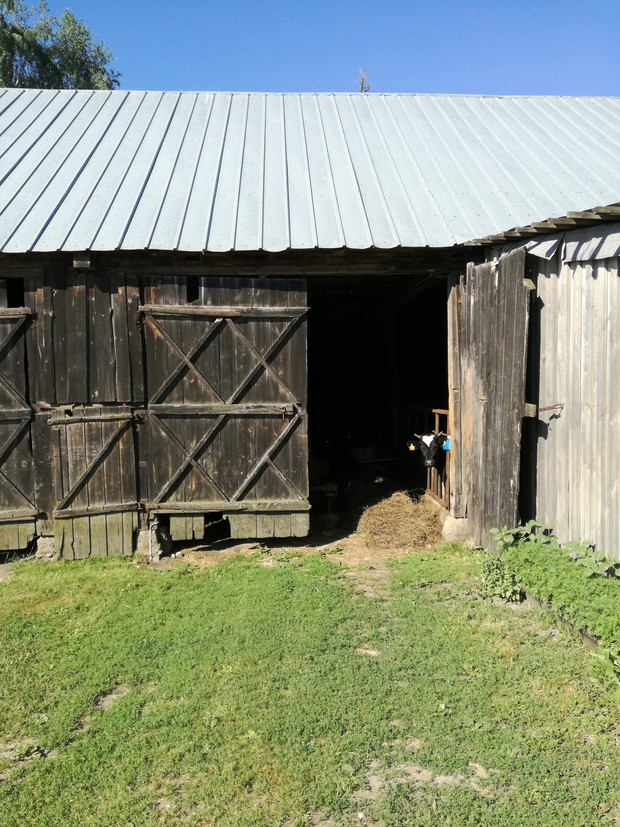 Suwalska kraina czarów