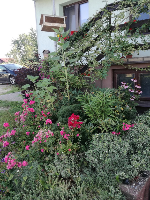 Suwalska kraina czarów