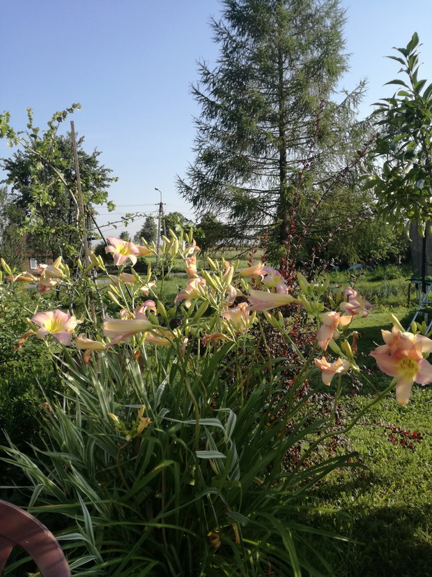 Suwalska kraina czarów