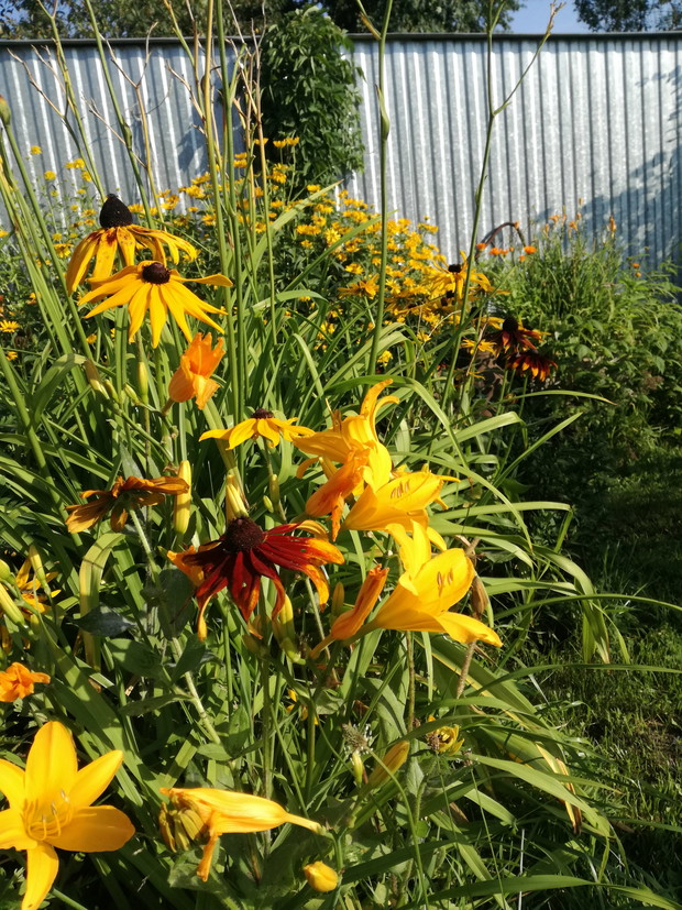 Suwalska kraina czarów