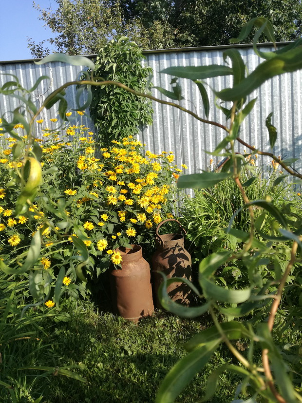 Suwalska kraina czarów