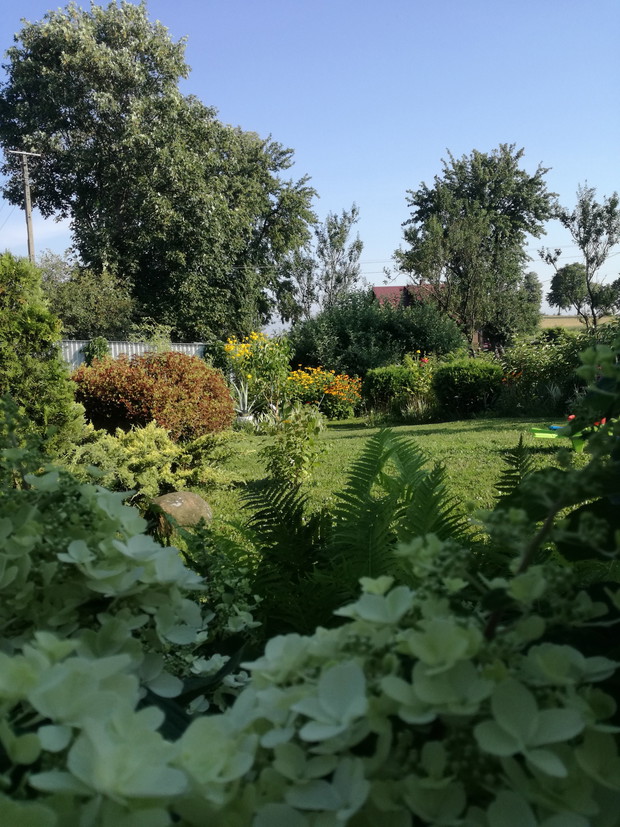 Suwalska kraina czarów