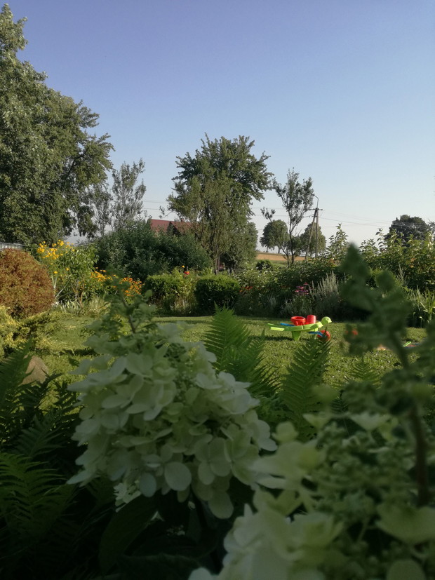 Suwalska kraina czarów