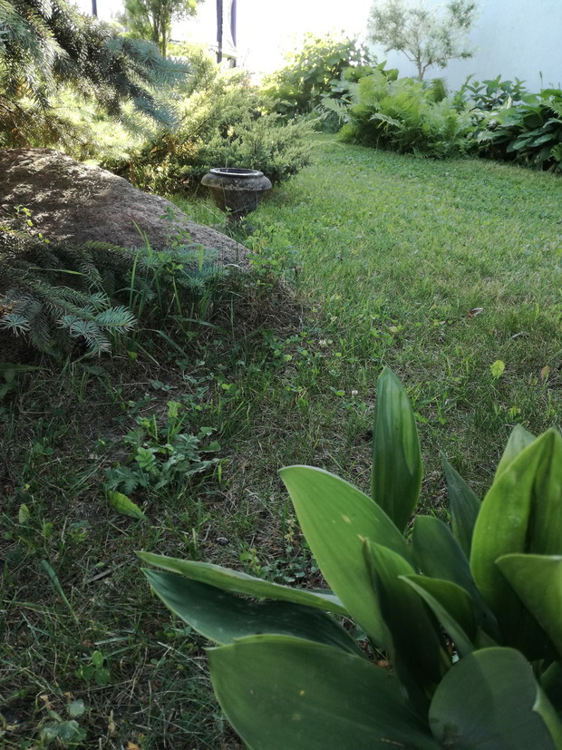 Suwalska kraina czarów