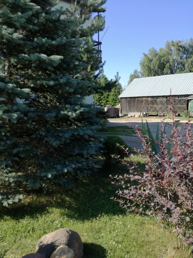 Suwalska kraina czarów