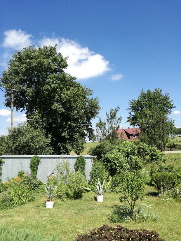 Suwalska kraina czarów