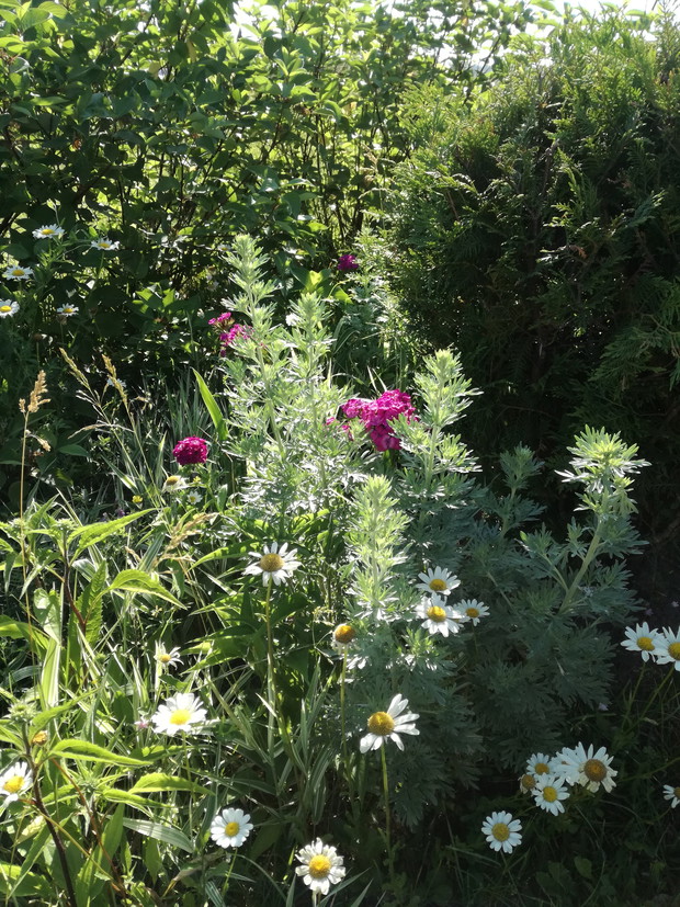 Suwalska kraina czarów