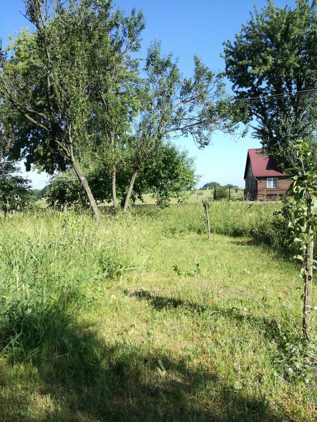 Suwalska kraina czarów