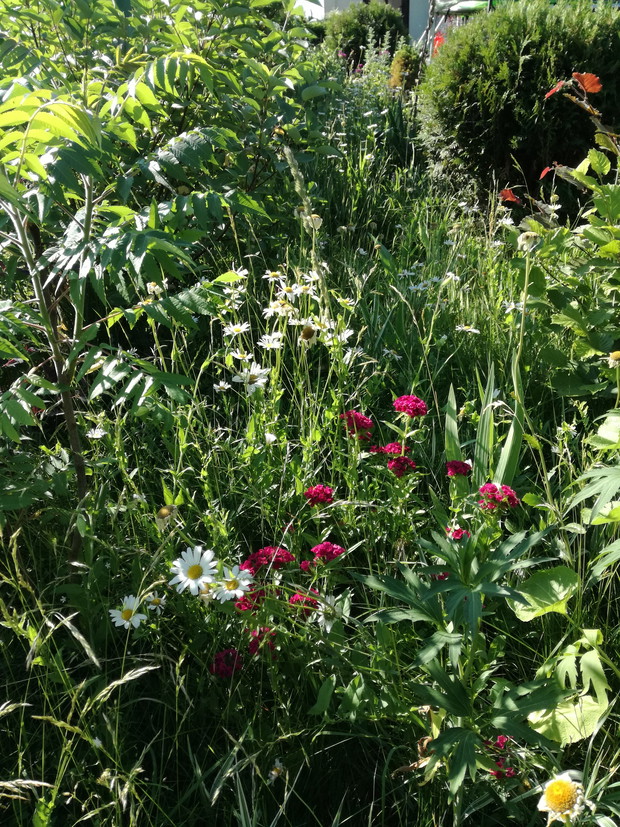 Suwalska kraina czarów