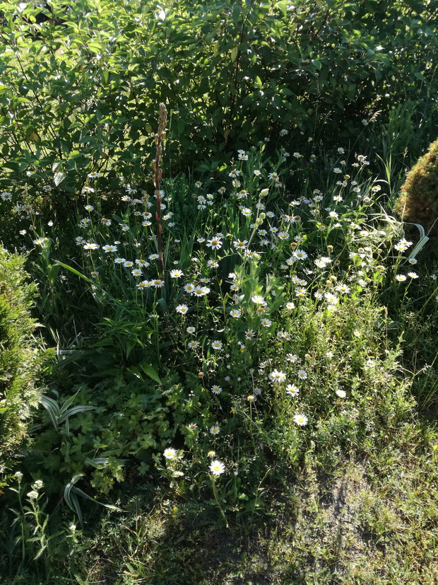 Suwalska kraina czarów