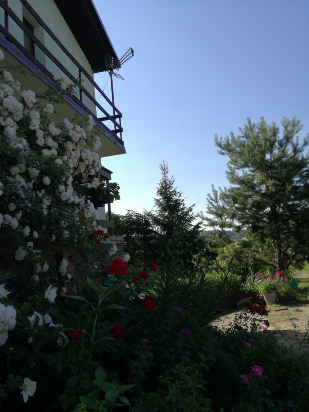 Suwalska kraina czarów