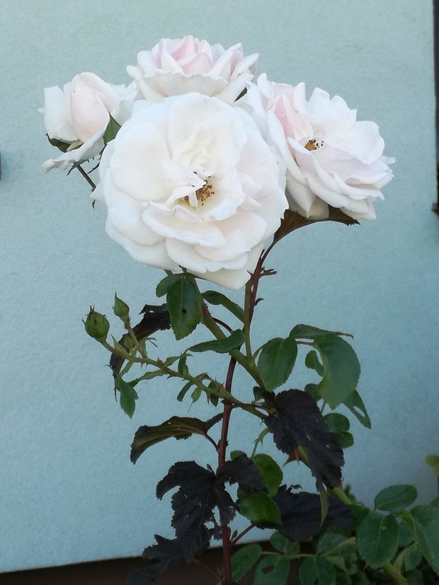 Suwalska kraina czarów